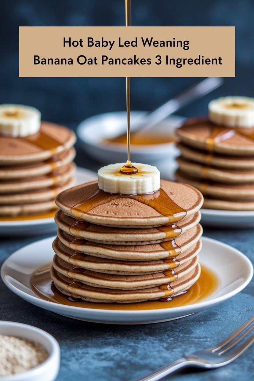 baby led weaning banana oat pancakes 3 ingredient